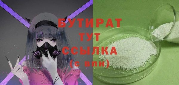 мдпв Гусь-Хрустальный