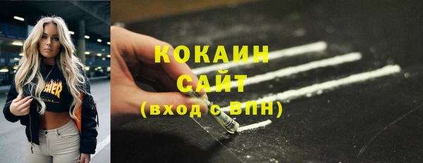 мдпв Гусь-Хрустальный