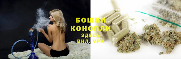 мдпв Гусь-Хрустальный