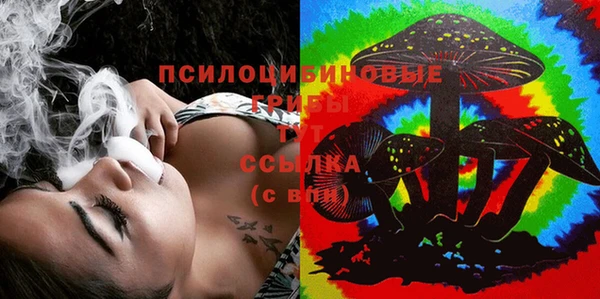 а пвп мука Гусиноозёрск