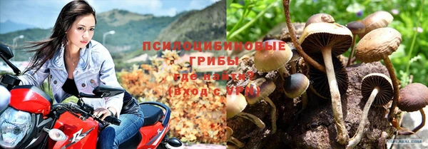 наркотики Гусев