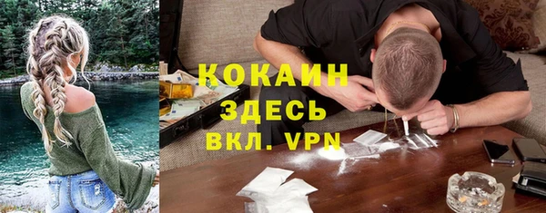мдпв Гусь-Хрустальный