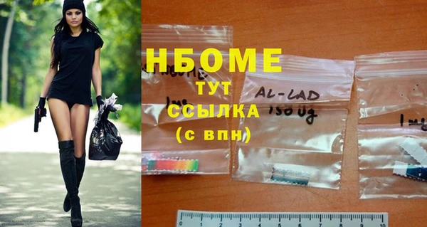 мдпв Гусь-Хрустальный